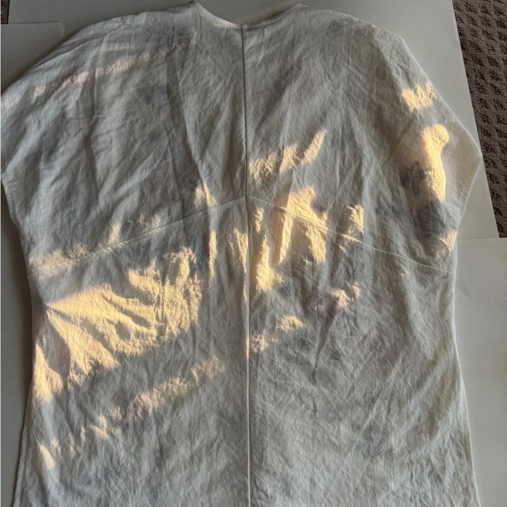 Zara Top - Picture 13 of 15